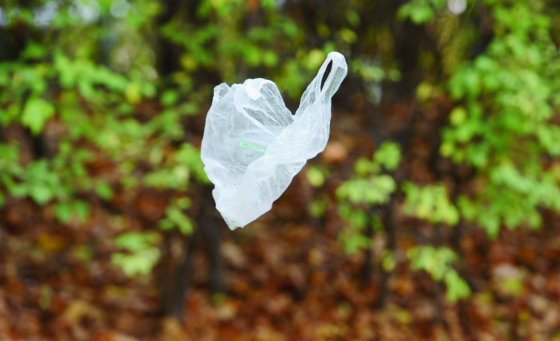 Ein vom Wind verwehter Plastiksack, aufgenommen am Montag, 4. November 2013, in Wien. Die EU-Kommission will den Verbrauch von Plastiktueten eindaemmen. Insbesondere leichte Einwegtueten sind problematisch. Jeder Europaeer verbraucht nach Angaben der EU-Kommission 198 Plastikbeutel pro Jahr, etwa 90 Prozent davon aus leichtem Material. Viele der Tueten endeten schließlich im Meer. (KEYSTONE/APA-FOTO: HELMUT FOHRINGER) EUROPA PLASTIKSACK ABFALL