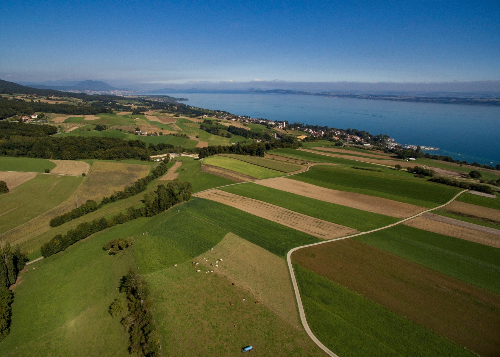 Vue aerienne du canton de Neuchatel 



21.09.2015



Photo : Lucas Vuitel