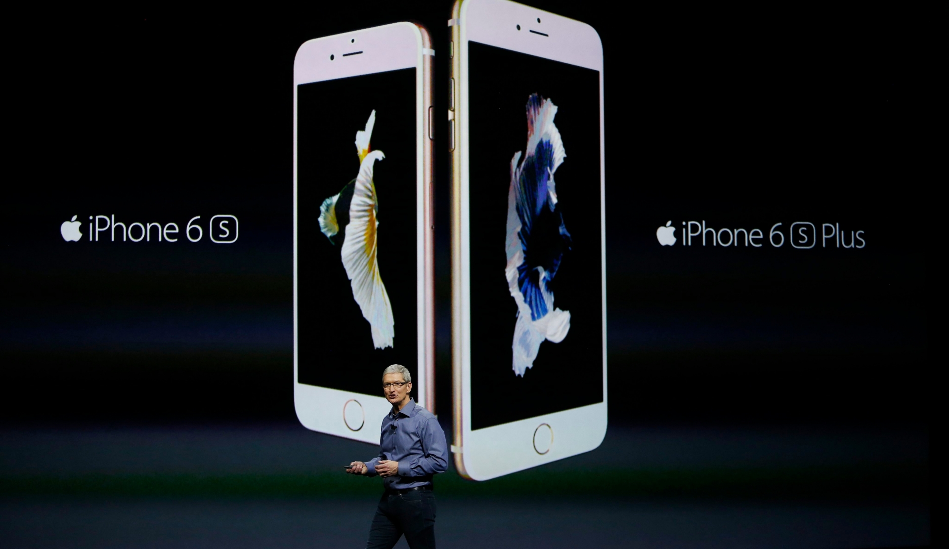 epa05278116 (FILE) A file photo dated 09 September 2015 showing Apple CEO Tim Cook talking about the new iPhone 6S and iPhone 6S Plus during an Apple launch event at the Bill Graham Civic Auditorium in San Francisco, California, USA. Apple will release their financial year 2016 2nd quarter results on 26 April 2016. Media reports 25 April 2016 state Apple, that has never announced a decline in its year-over-year iPhone sales, may report selling less iPhones than before for the upcoming two quarters.  EPA/MONICA DAVEY FILE USA ECONOMY APPLE RESULTS