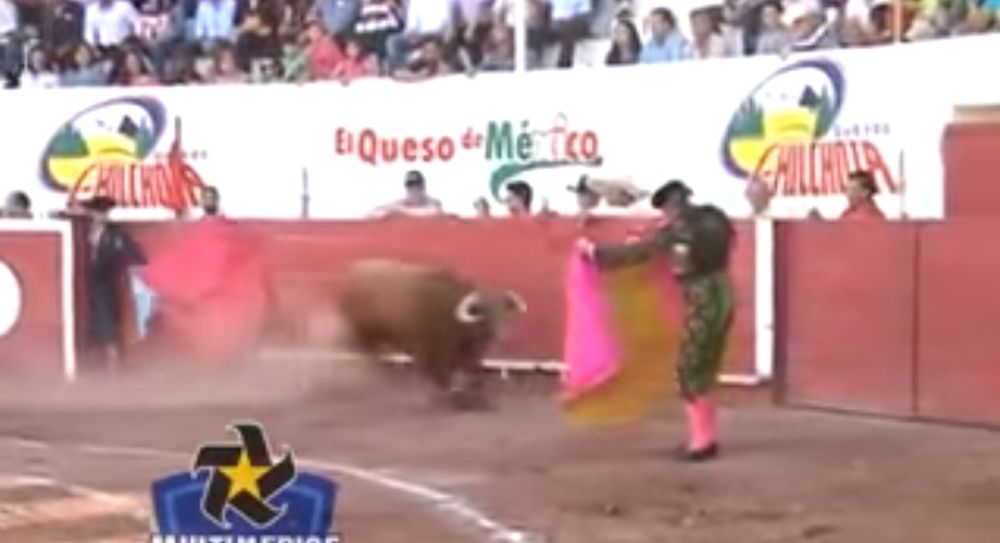 Le matador a reçu un violent coup de corne qui l'a projeté haut dans les airs.