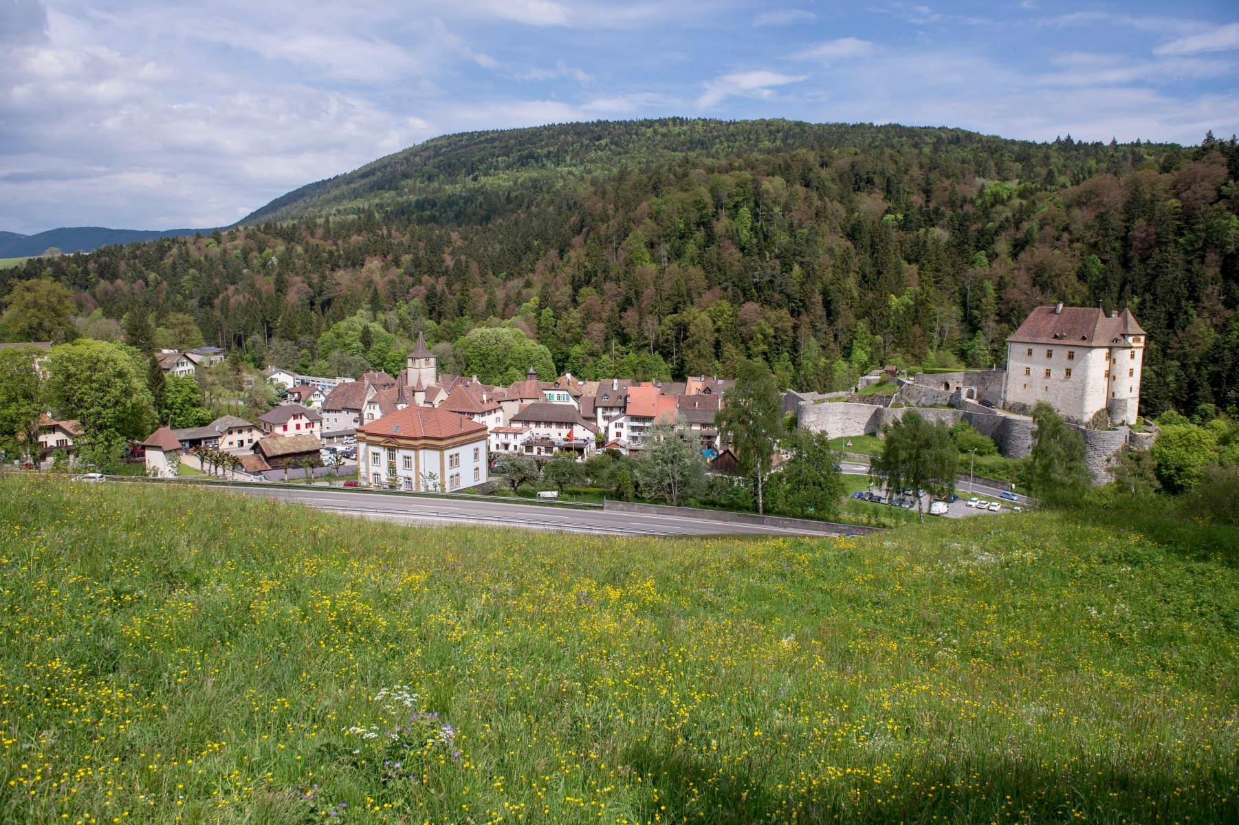 Vue de Valangin pour illustrer la fusion



Valangin, le 18.05.2016



Photo : Lucas Vuitel