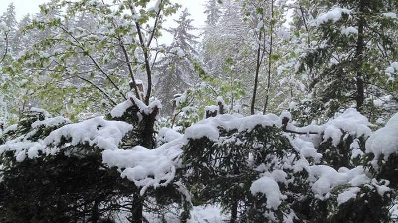 La neige a fait son retour notamment en Valais. Ici à Crans-Montana.