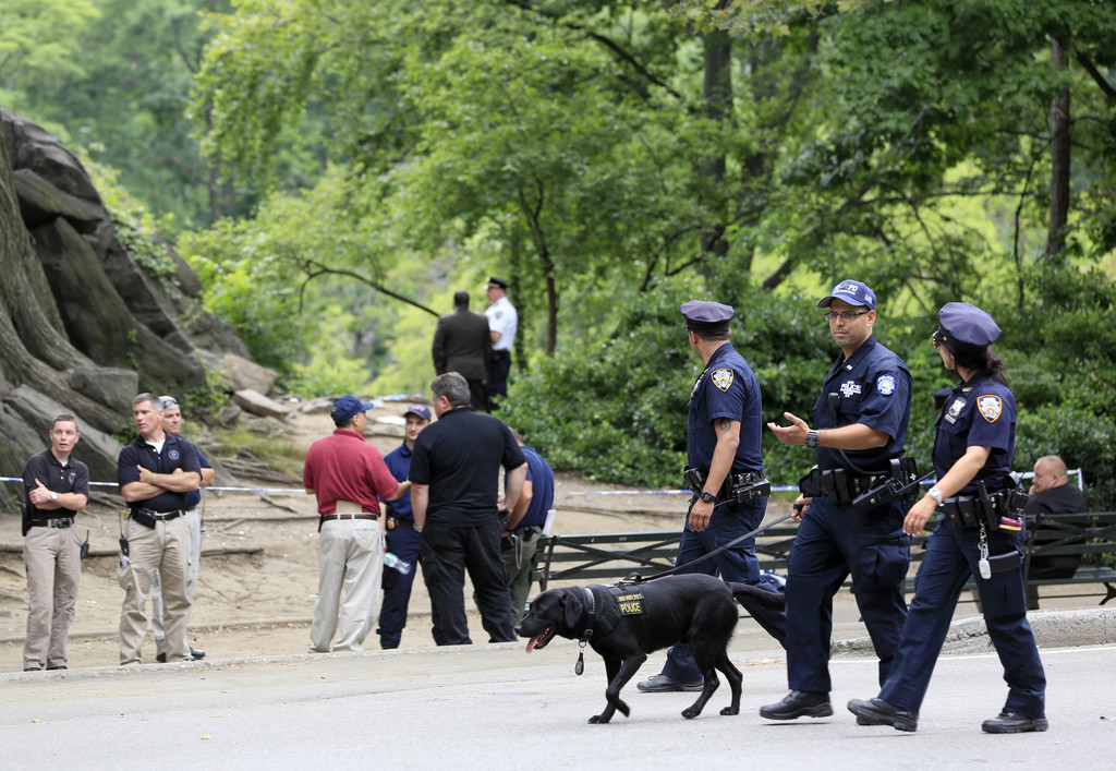 Les causes de l'explosion survenue dimanche à Central Park restent inconnues pour le moment.