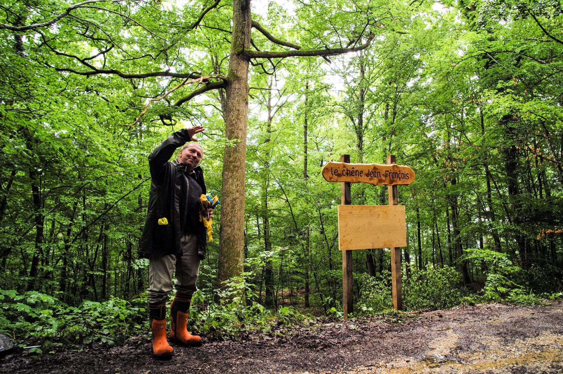 Un chêne de 300 ans vient d’être sorti de l’inventaire forestier de la commune de Peseux.