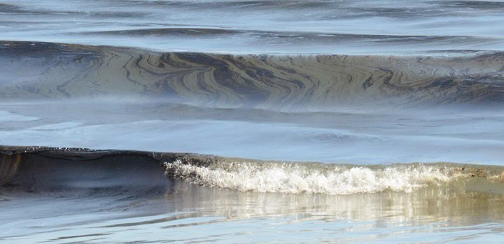 La police guatemaltèque a trouvé des sachets en plastique remplis de cocaïne qui flottaient au bord de l'eau.