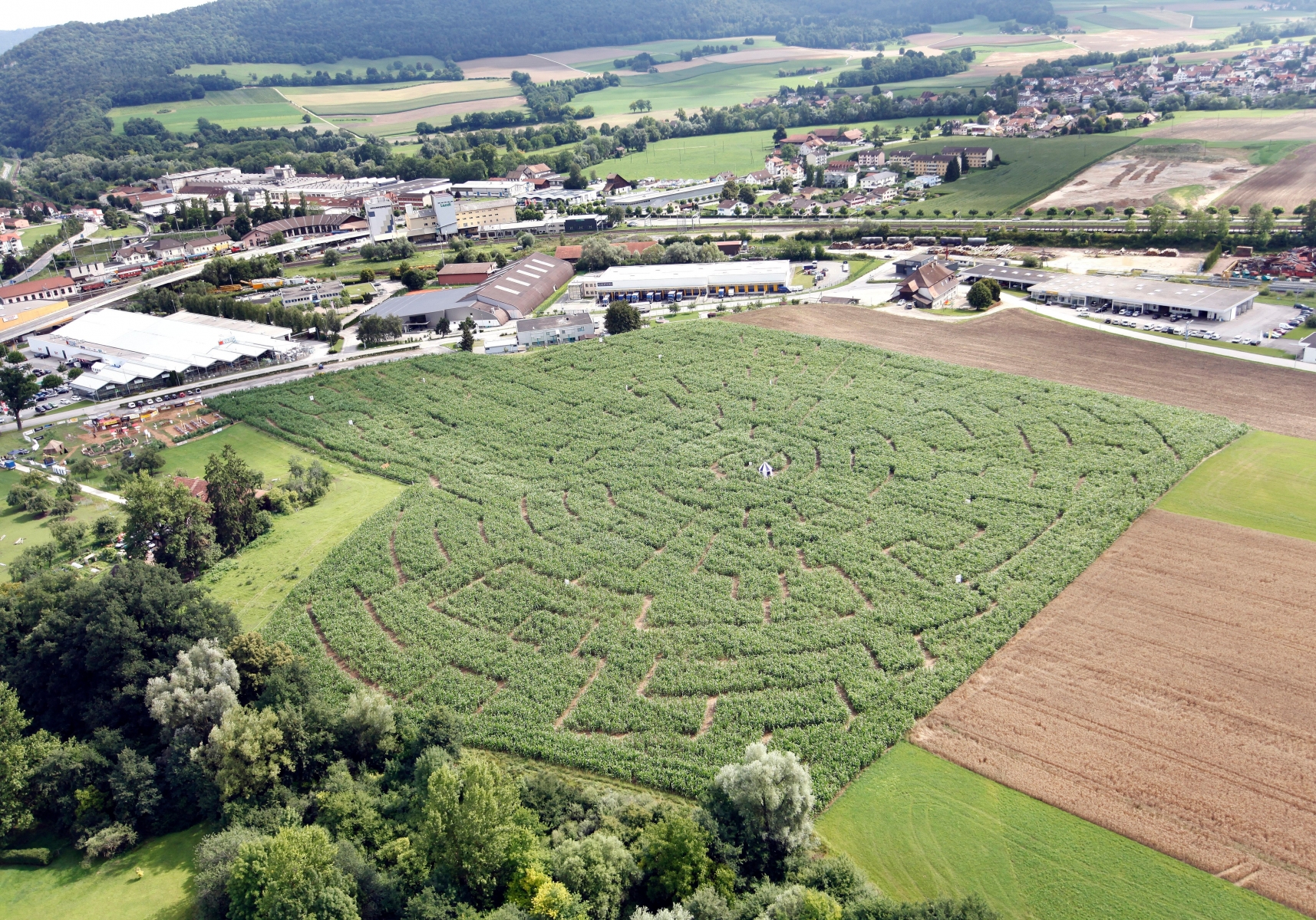 Loisirs. Swiss Labyrinthe a ouvert ses portes aujourd'hui samedi 23 juillet et sera ouvert jusqu'au 25 septembre 2011 à Delémont. Dessiné dans un champ de maïs et grand comme huit terrains de football cette attraction est la plus imposante du genre en Suisse.   (Roger Meier/Bist)