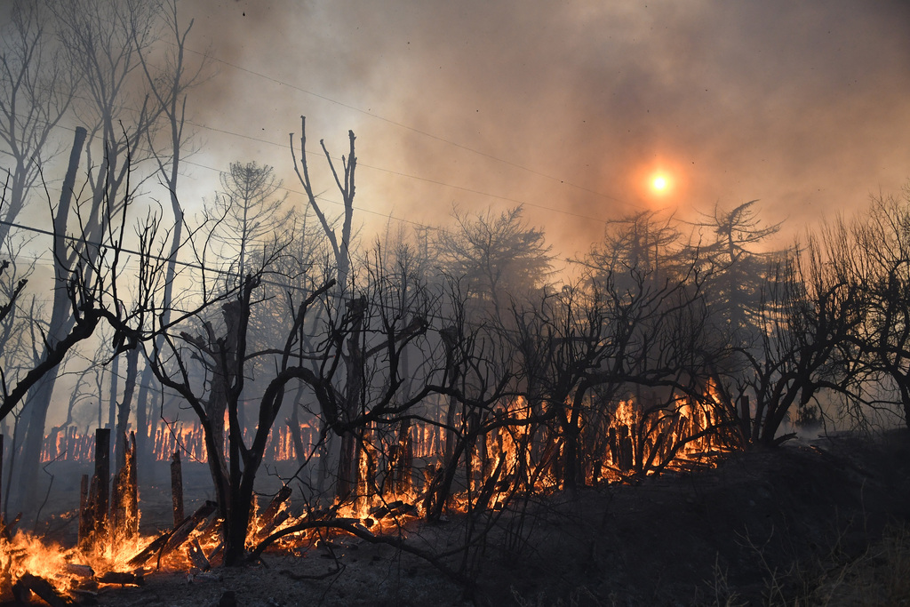 En Californie, le fulgurant incendie de Blue Cut a avalé 15'000 hectares de buissons et végétation en trois jours dans les montagnes de la forêt nationale Angeles.