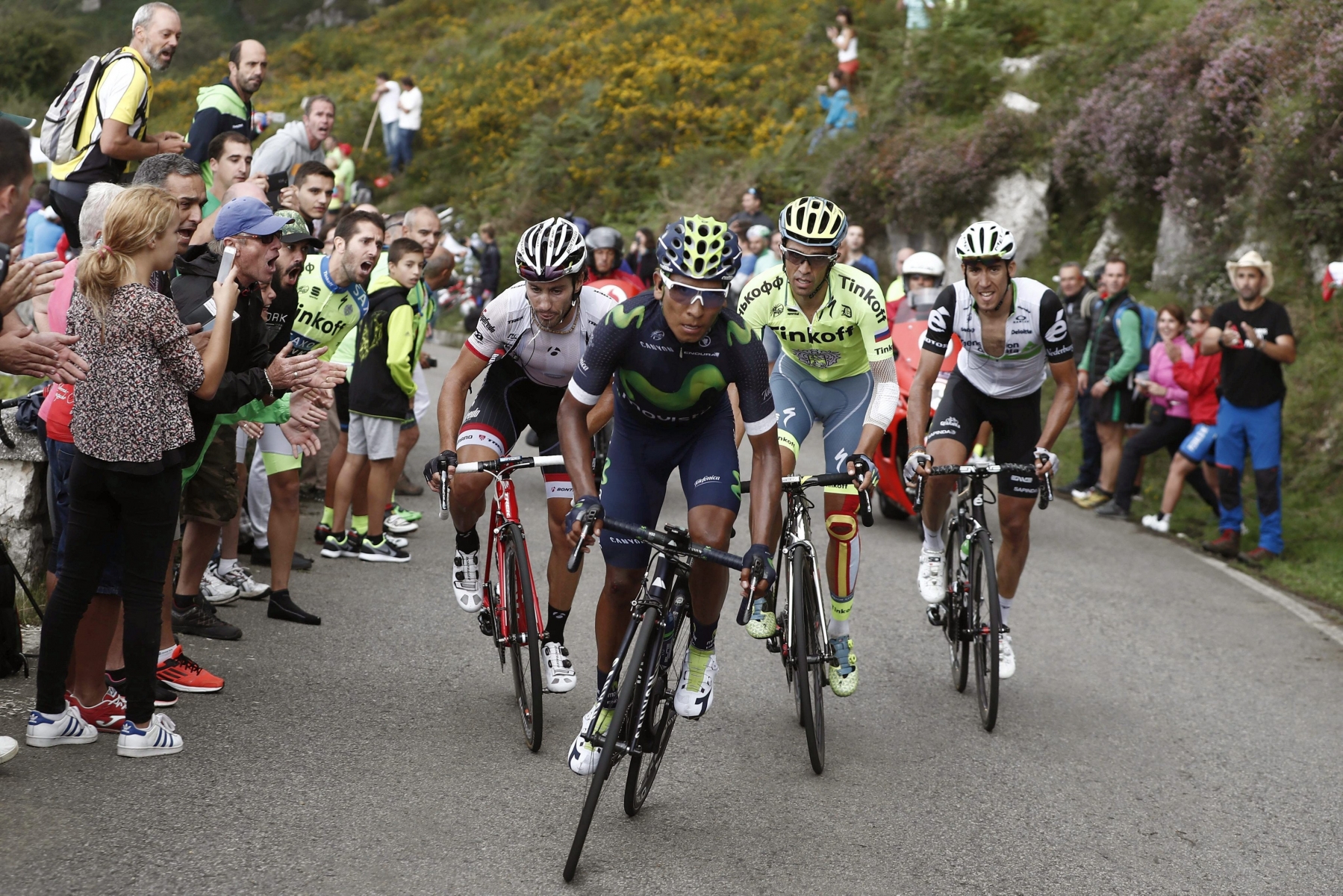 epa05514469 Colombian Nairo Quintana (2L) of Movistar, Spanish Omar Fraile (R) of Dimension Data and Spanish Alberto Contador (2R) of Tinkoff in action during the 10th stage of the Spanish Vuelta, a 188.7 km race between Lugones and Lagos de Covadonga, in Asturias, northern Spain, 29 August 2016.  EPA/JAVIER LIZON SPAIN CYCLING LA VUELTA