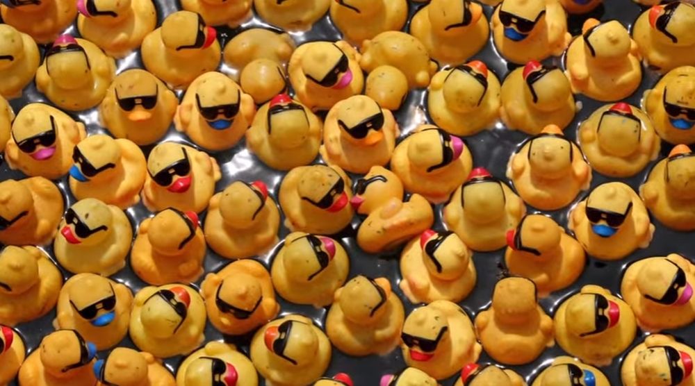A Chicago, 60'000 canards ont participé à la "Rubber Ducky Derby"!