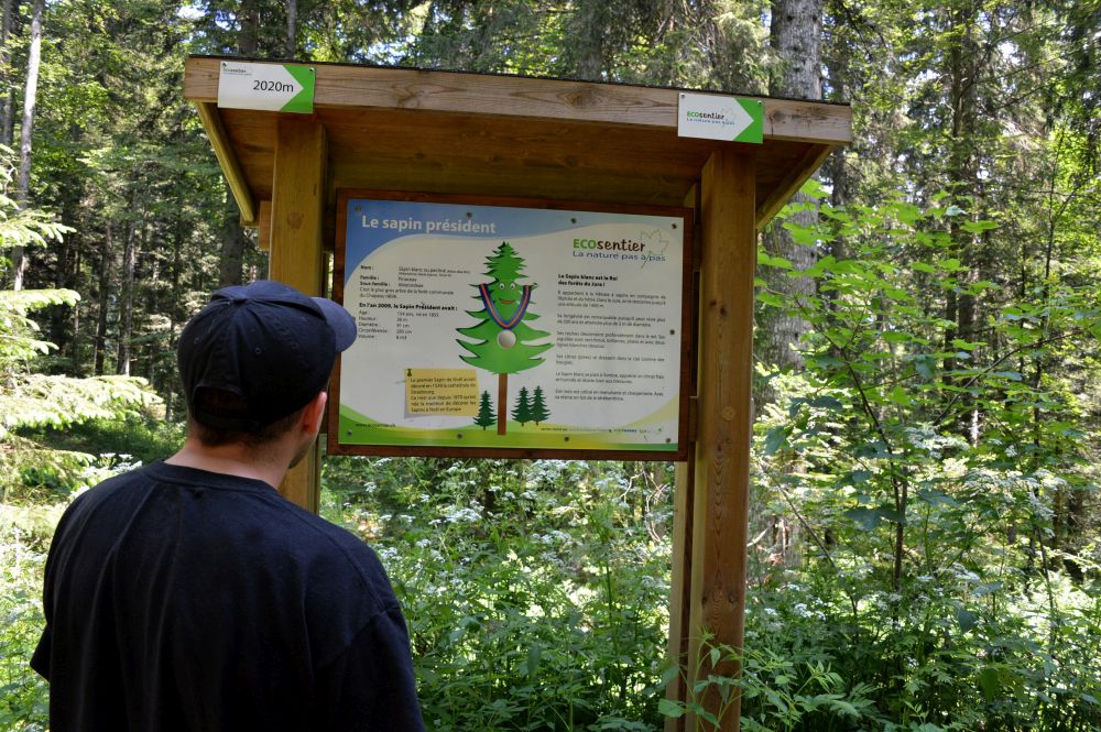 L'ECOsentier de La Chaux-de-Fonds accueillera la fête des naissances le 3 septembre.