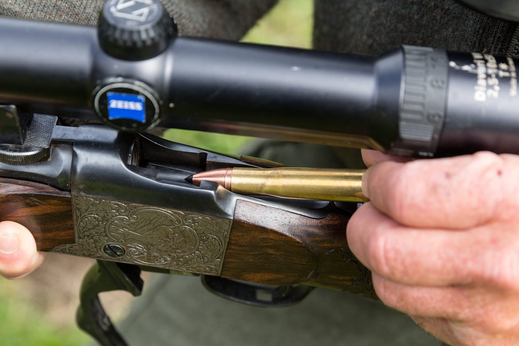 Selon la mère de la propriétaire, le chasseur avait un fusil à lunettes qui rend son explication peu crédible.