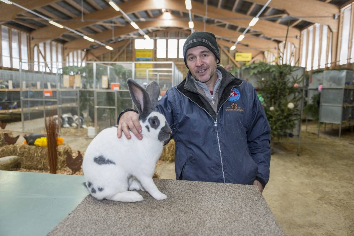 Pierre-Alain Borel, éleveur de lapins tachetés suisses à La Brévine, et responsable de la campagne de vaccination des lapins du canton.