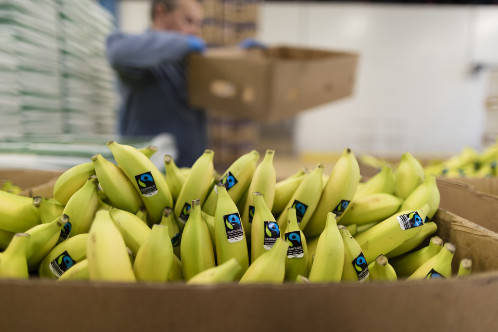 La croissance a principalement été portée par les ventes de fruits.