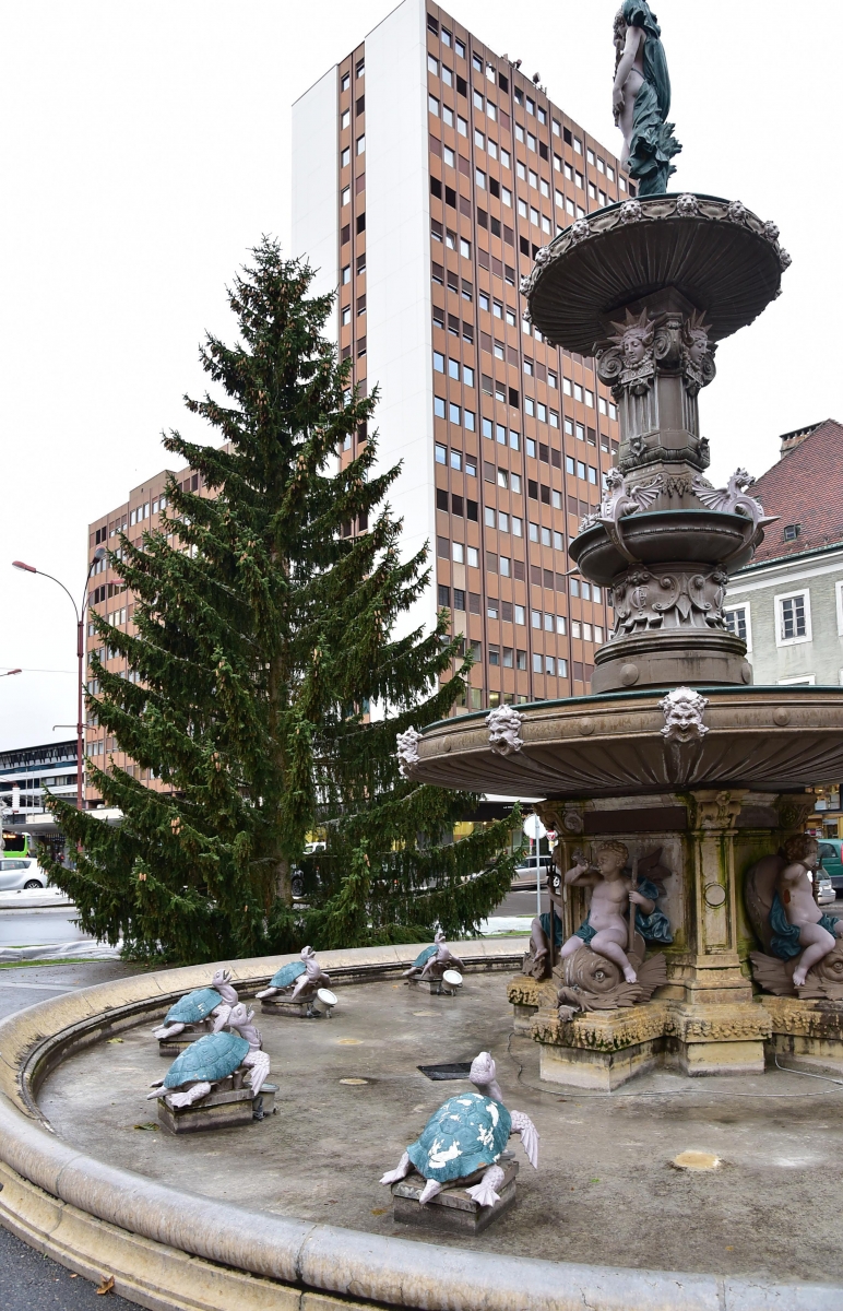 Le sapin de Noel de la Tchaux installe
18 novembre 2016
Photo R Leuenberger