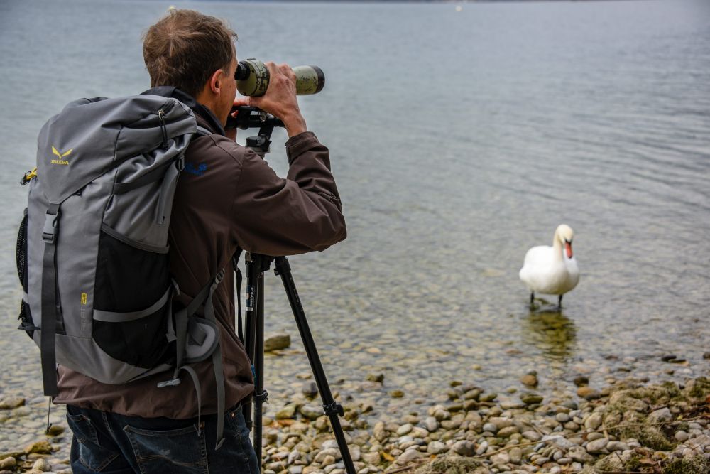 Les oiseaux du lac ont été recensés le 13 novembre dernier. 