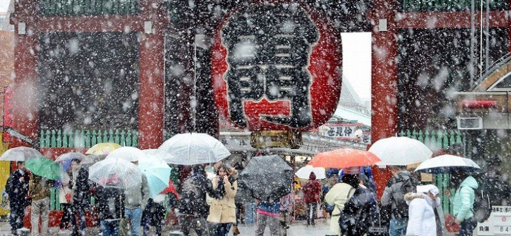 La neige a commencé à tomber dès l'aube.