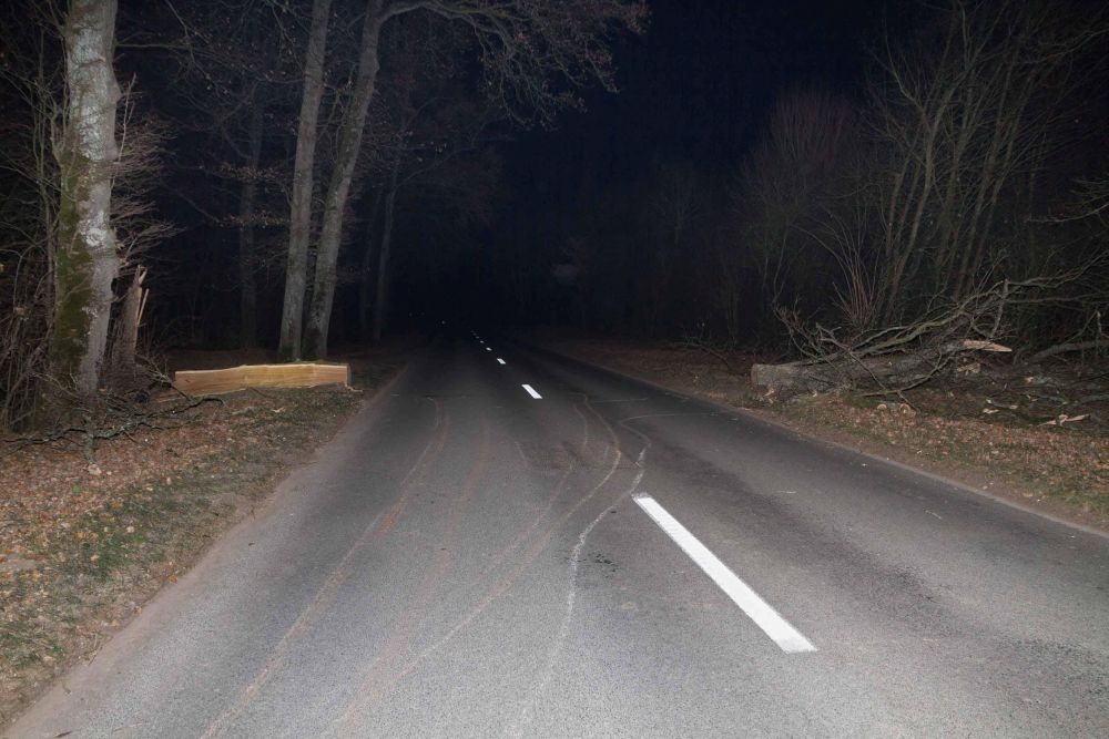 Les auteurs de la tentative de cambriolage ont abattu des arbres pour barrer la route aux forces de l'ordre.