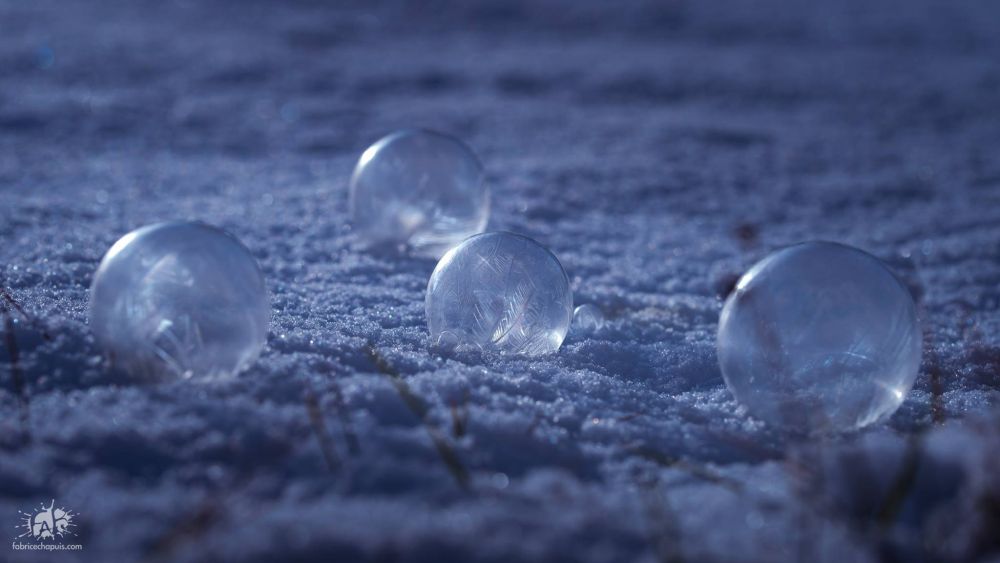 Ces bulles gelées ont été réalisées samedi dernier par -12 degrés lors d'un déplacement de l'artiste en Ajoie.