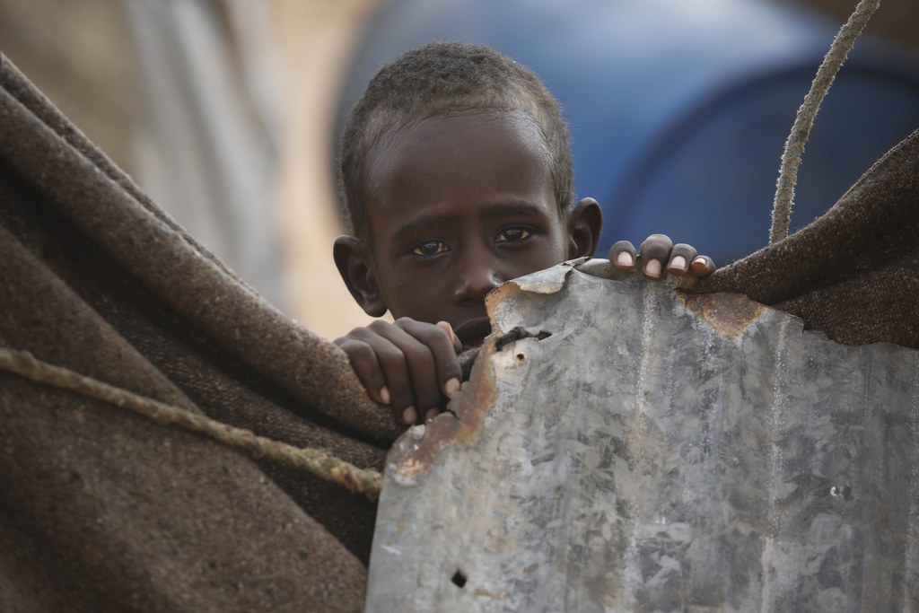 Selon l'ONU, 20 millions de personnes sont menacées de famine en Somalie, au Yémen, au Soudan du Sud et au Nigeria.