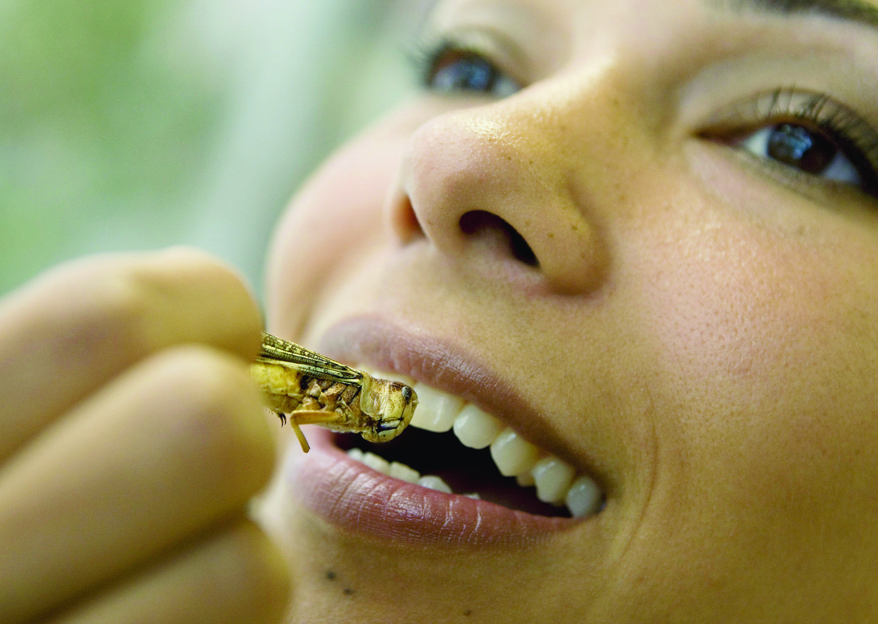 epa01778511 A woman takes a bite of a fried grashopper in the canteen of the ministry of agriculture, nature and food quality in The Hague, Netherlands, 29 June 2009. Minister Gerda Verburg presented the project Durable Food. This project was launched in this canteen, because this canteen is supposed to be a leading restaurant for durable food.  EPA/ED OUDENAARDEN NETHERLANDS GASTRONOMY