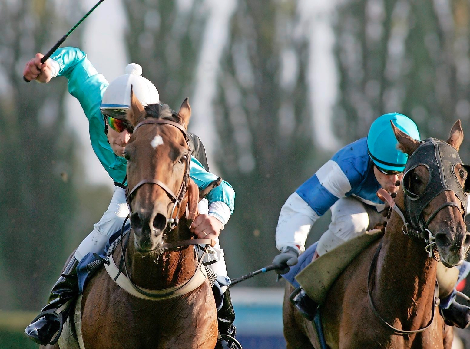 Gottschalk mit Juerg Langmeier im Sattel, links, gewinnt den GP der Stadt Maienfeld in einem packenden Finish vor  Strong Enough, geritten von Christophe Monjon, rechts, in einem Cross County ueber 5400 Meter und einem Preisgeld von 25'000 Franken, am Sonntag, 9. Oktober 2005, an den Internationalen Pferderennen von Maienfeld. (KEYSTONE/Arno Balzarini) SCHWEIZ PFERDERENNEN MAIENFELD