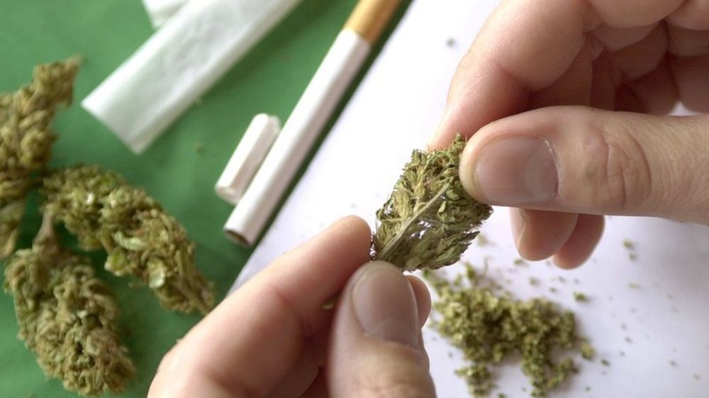 Les particuliers auraient le droit de cultiver jusqu'à quatre plants de cannabis pour leur usage personnel.