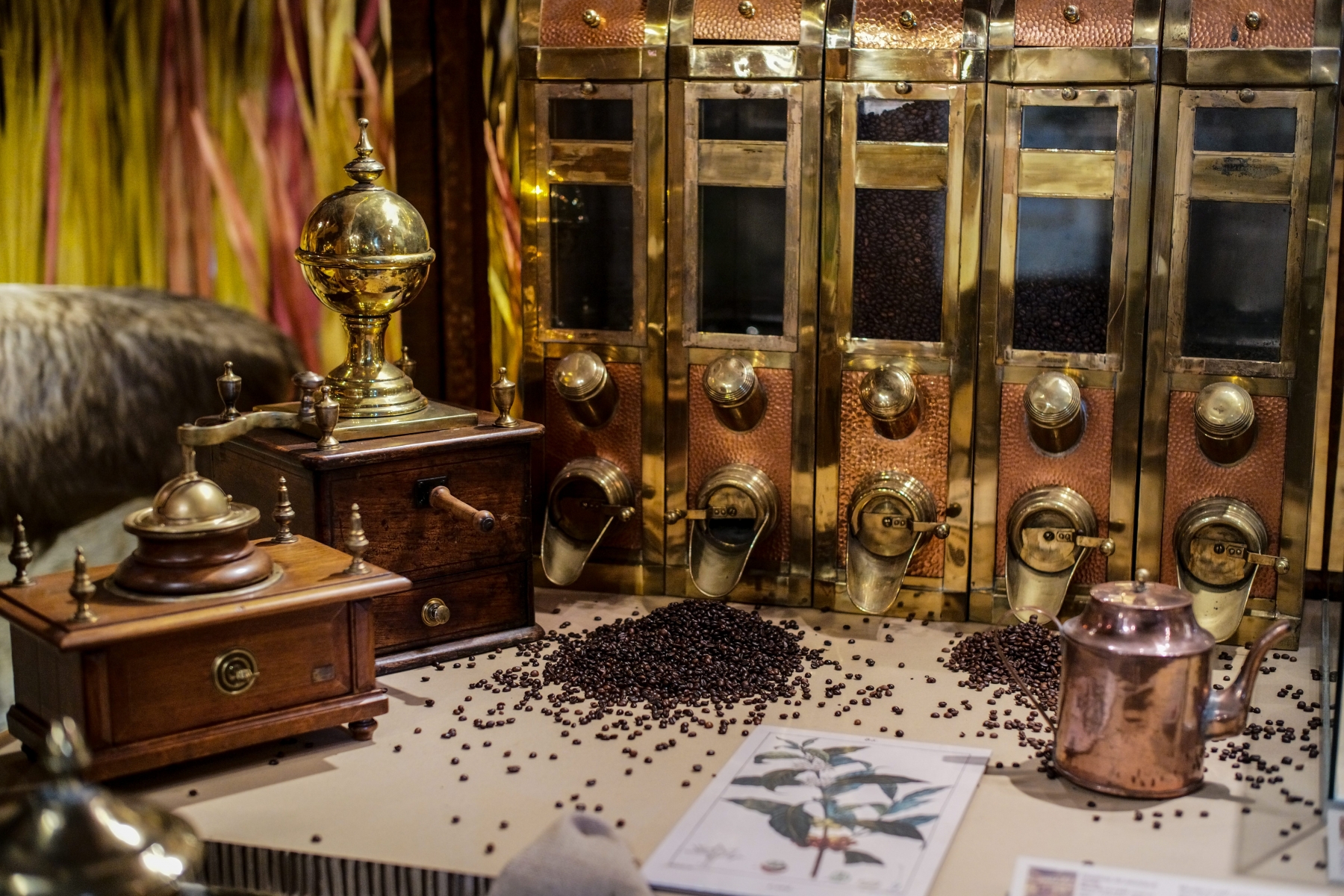 Le temps d'un magasin colonial, quand le café était une denrée luxueuse.