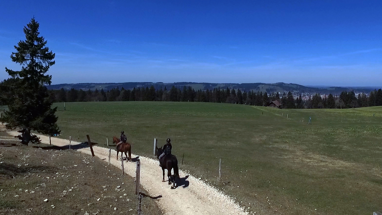 Le sentier équestre permet aux cavaliers et à leurs montures de découvrir de magnifiques paysages des montagnes neuchâteloises.