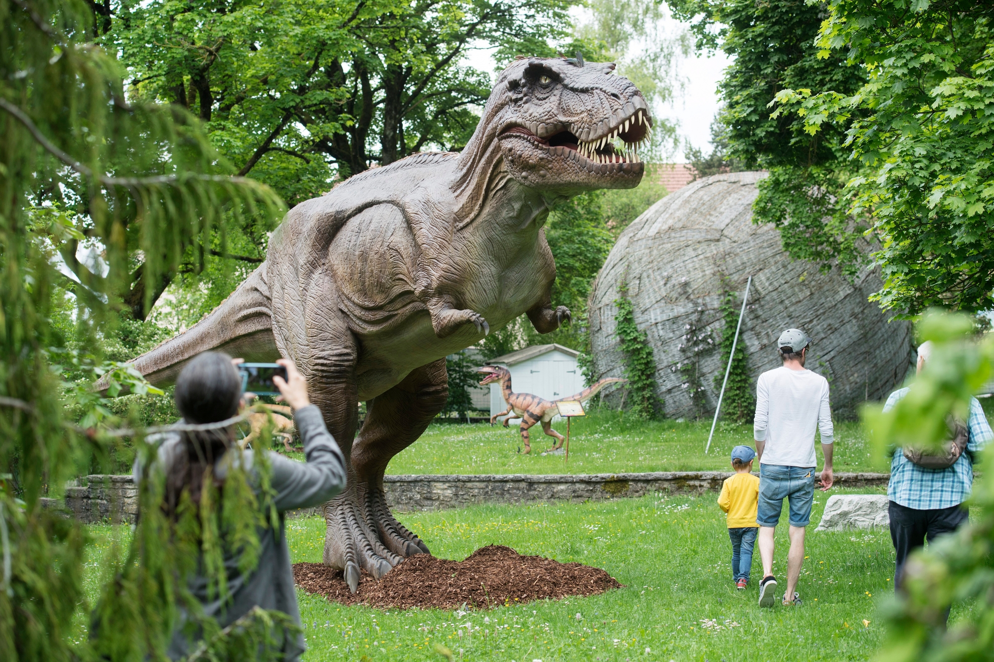 Le Tyrannosaurus rex est, grâce à «Jurassic Park», la plus célèbre espèce de dinosaure.