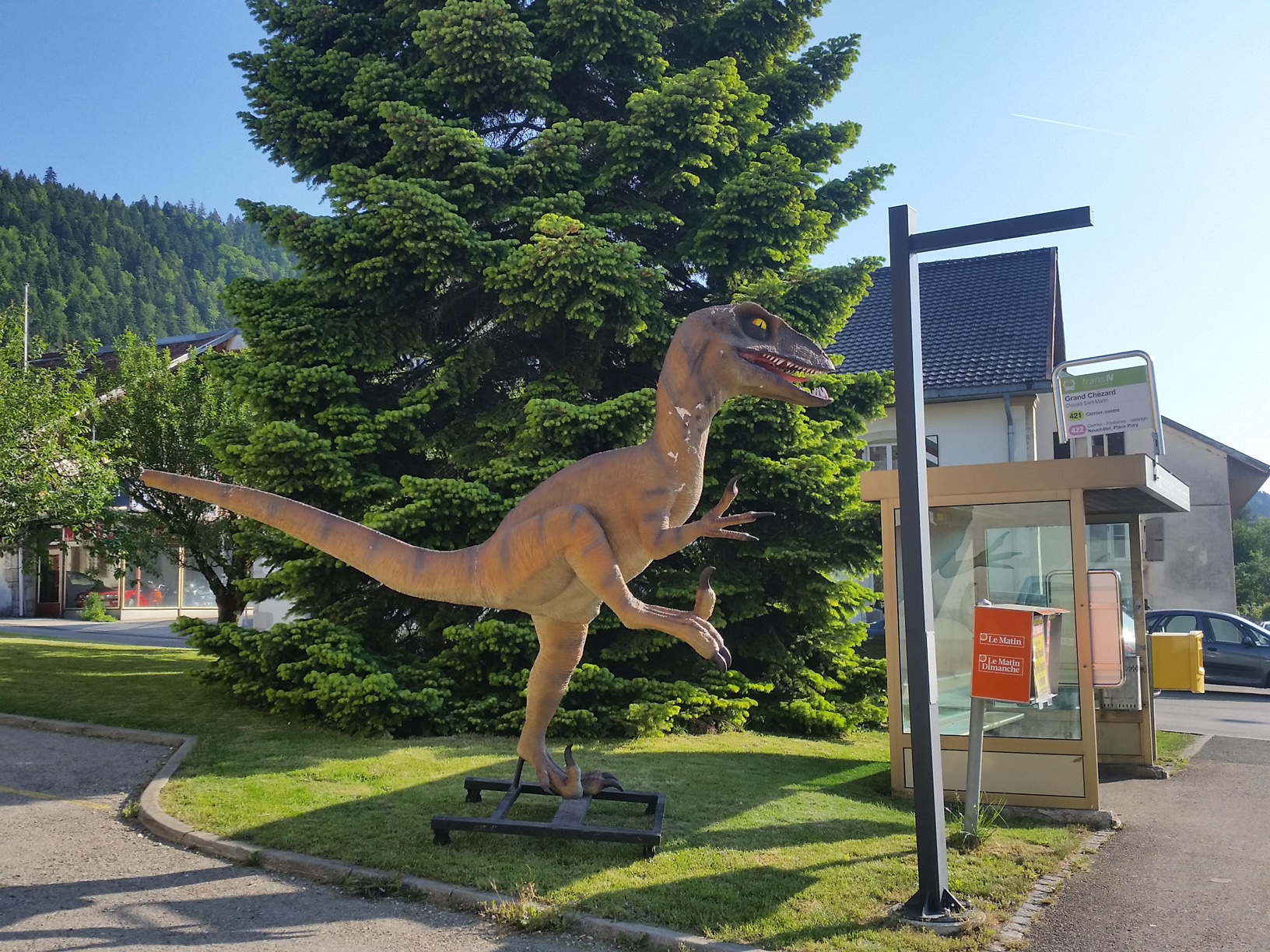 Le dinosaure tel que retrouvé à Chézard.