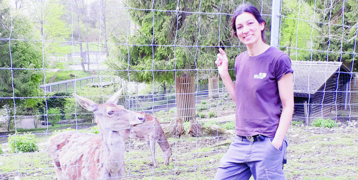 La doyenne des biches a bel et bien un prénom, mais il restera la chasse gardée des gardiens