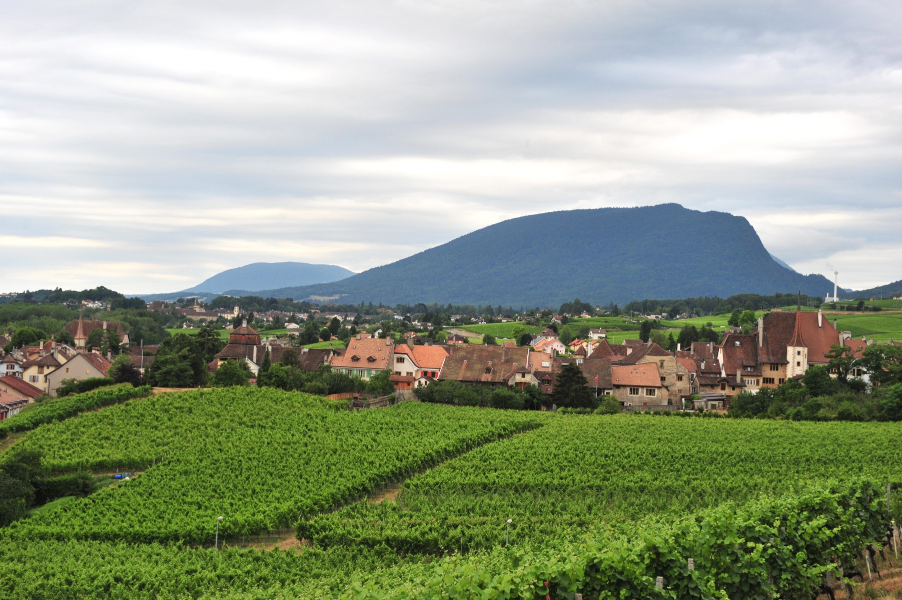 Si le soleil brille jusqu'aux vendanges,le vignoble neuchâtelois peut encore tirer son épingle du jeu. 