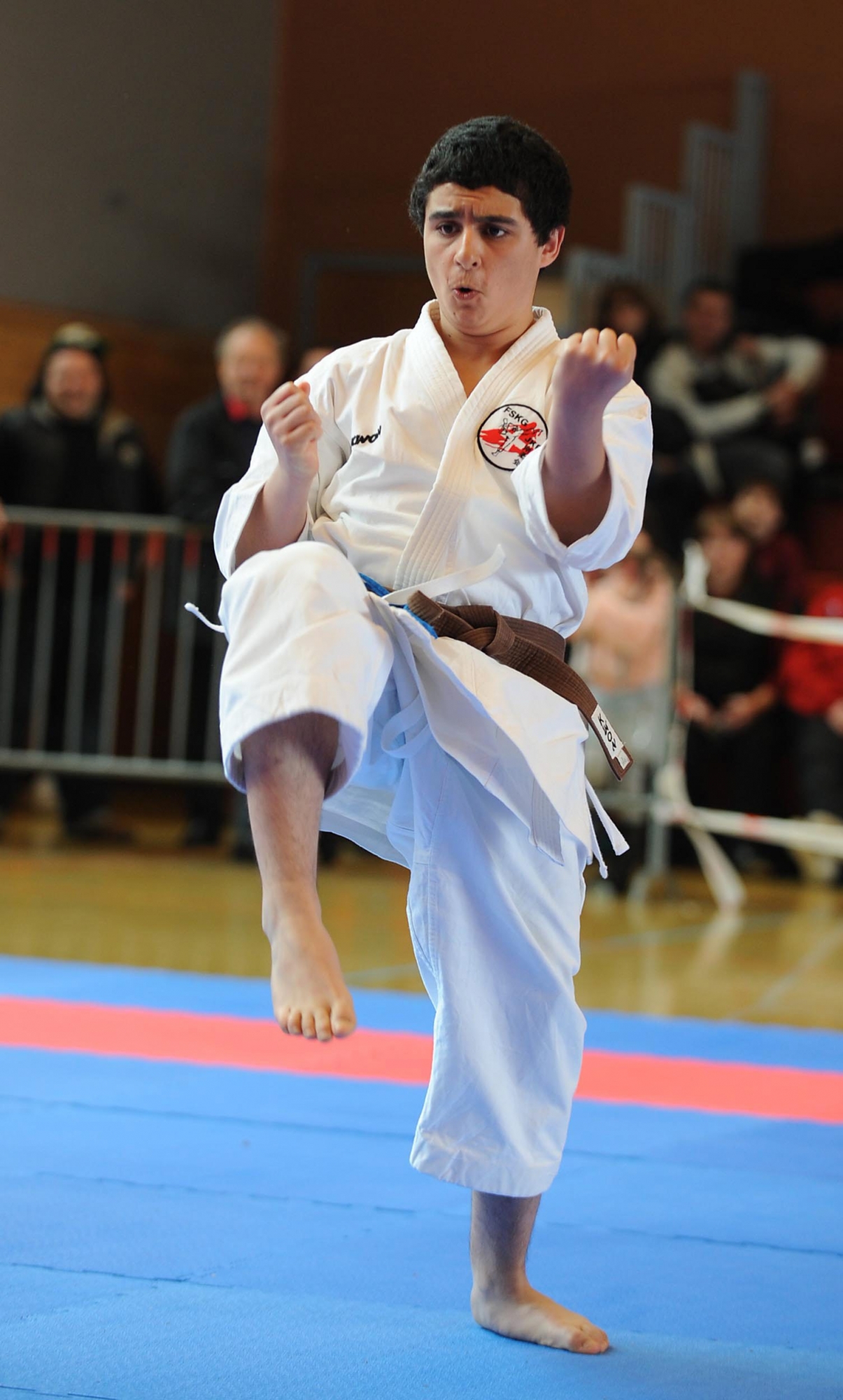 Coupe internationale de Karate au pavillon des sports: ici le jeune chaux de fonnier  Siyar Bagatharan medaille en Kata

La Chaux-de-Fonds le 29 mars 2009
Photo R Leuenberger KARATE