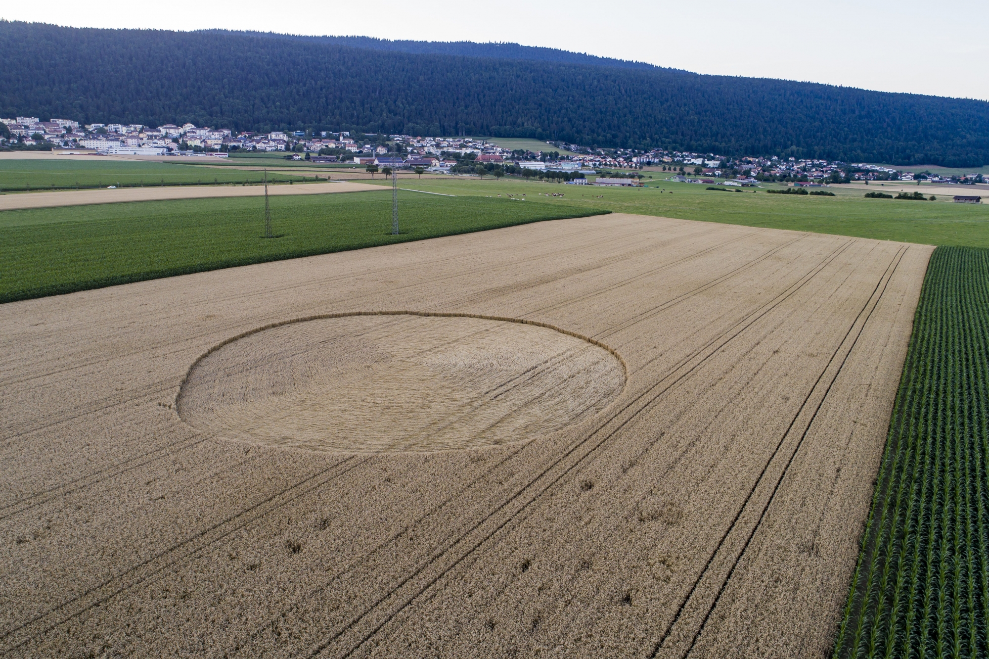 Quelque peu difforme, le crop circle a fait son apparition dans un champ de blé, au coeur du Val-de-Ruz.