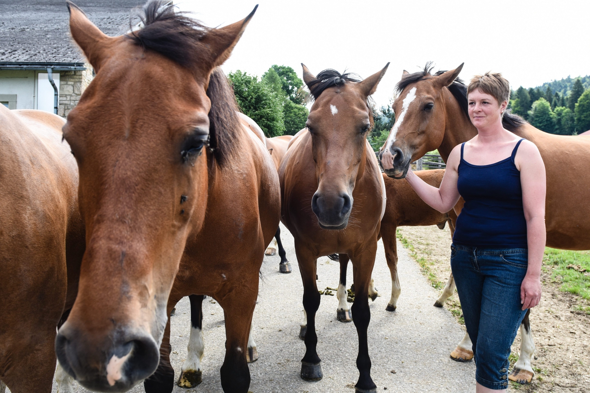 Chantal Oppliger responsable de la vente de chevaux pendant le Marche-Concours.


LE PEU-PEQUIGNOT 7/07/2017
Photo: Christian Galley