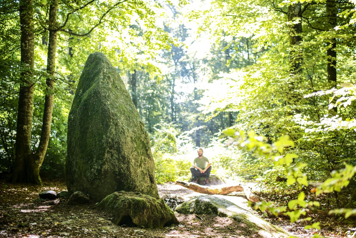 Moment de quiétude près de l'un des menhirs de la forêt du Devens.