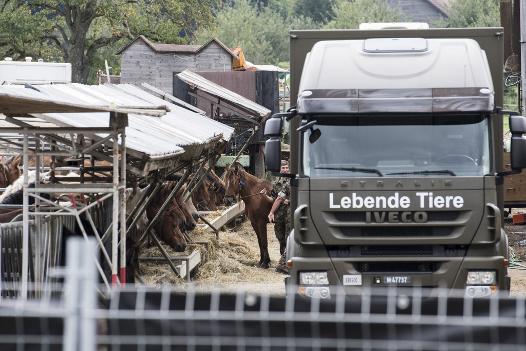 L'éleveur d'Hefenhofen a été arrêté lundi par la police. Tous les animaux de sa ferme ont été évacués mardi.