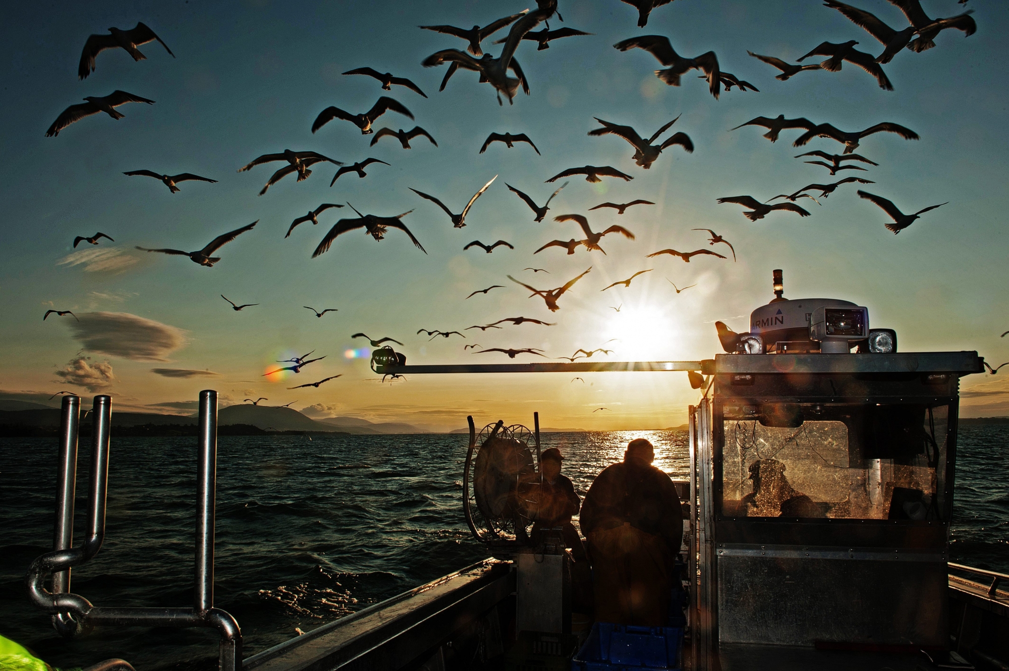 Sur le lac de Neuchâtel, les pêcheurs traversent une phase difficile.