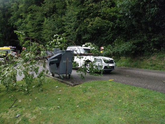 L'arbre n'a cause que peu de dégâts, mais a bloqué la chaussée.