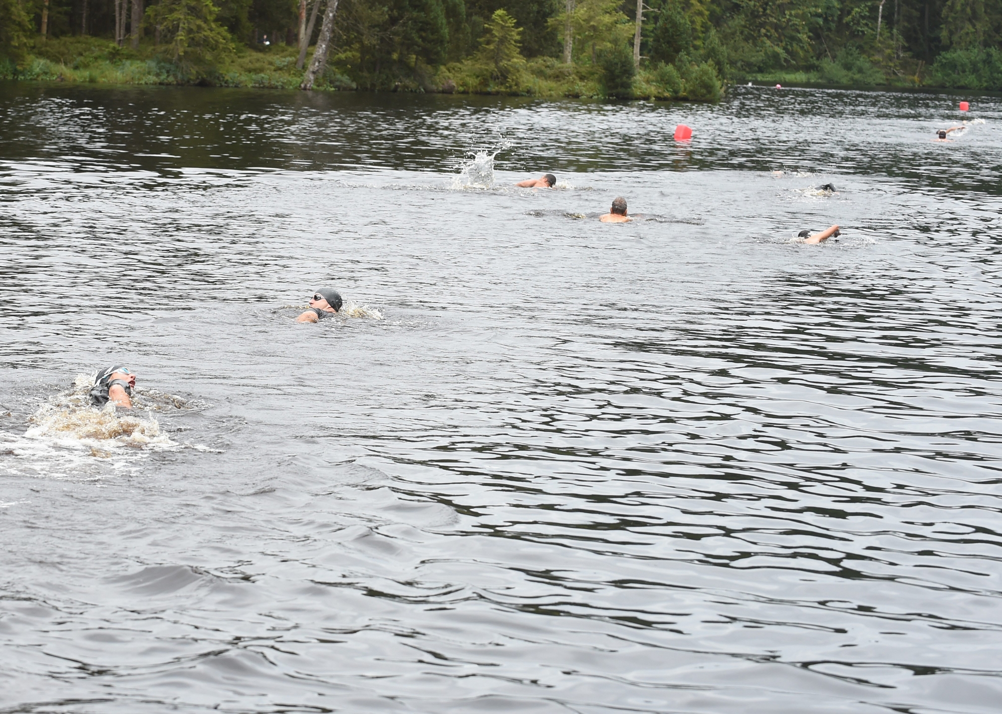La natation dans l'étang de la Gruère, un passage obligé du Jura Défi.