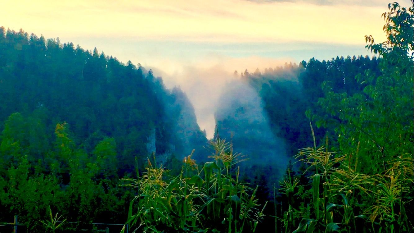Cascade de brouillard ce matin au Col-des-Roches.
