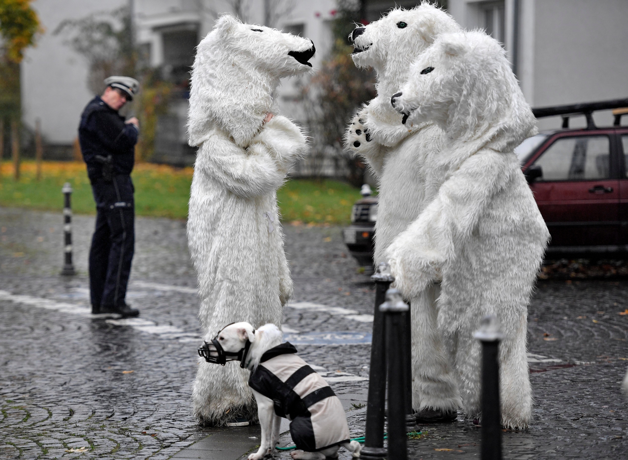 Protestors dressed as polar bears are watched by a police officer as they talk in a backstreet after a demonstration outside the COP 23 Fiji UN Climate Change Conference in Bonn, Germany, Saturday, Nov. 11, 2017. (AP Photo/Martin Meissner) APTOPIX Germany Climate Conference