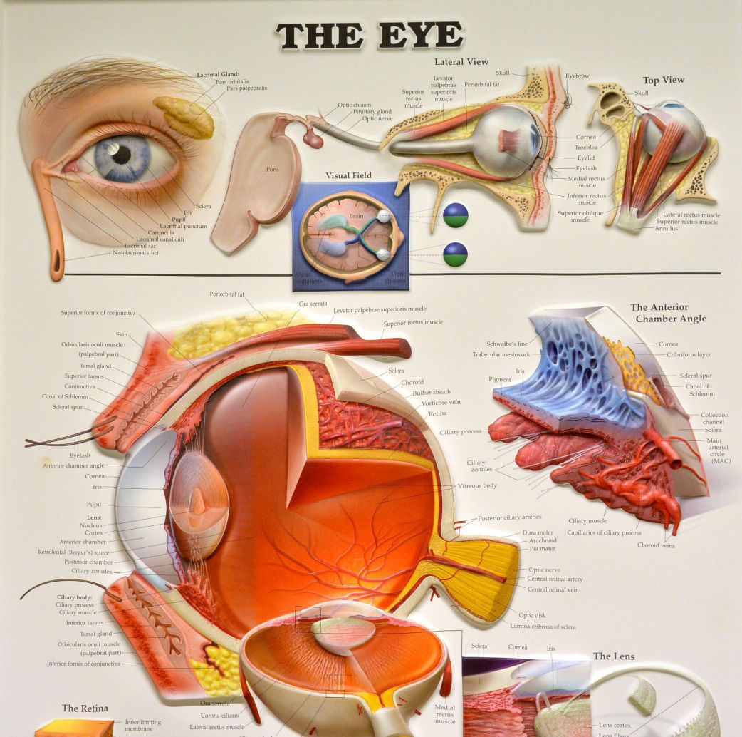 La chirurgie de l'oeil pourra se déployer au centre-ville de Neuchâtel.