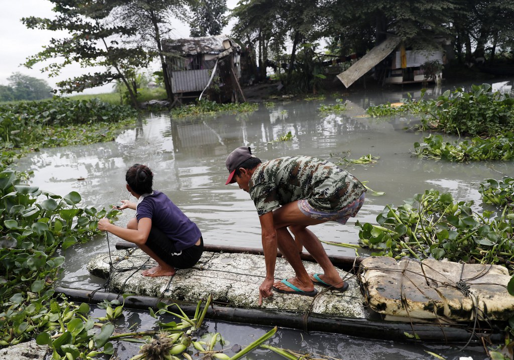Les Philippines sont frappées chaque année par une vingtaine de typhons et de tempêtes.