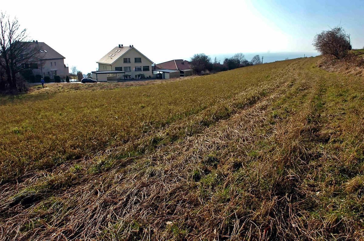 Le terrain sur lequel est prévu le projet des Chauderons.