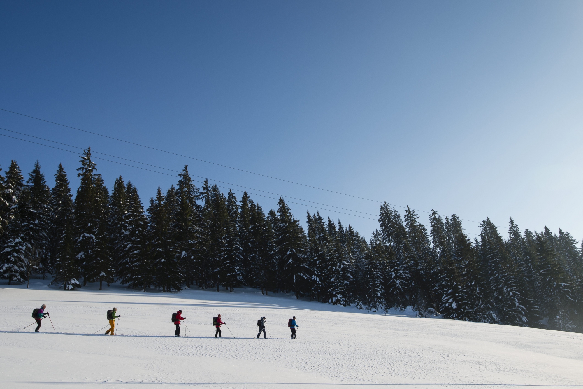 "Echappées belles" a consacré une émission au Jura suisse samedi dernier. La vallée de La Brévine est notamment à l'honneur.