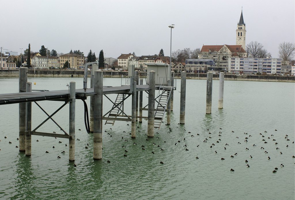 L'homme avait chuté dans le port de Romanshorn, dans le canton de Thurgovie (illustration).