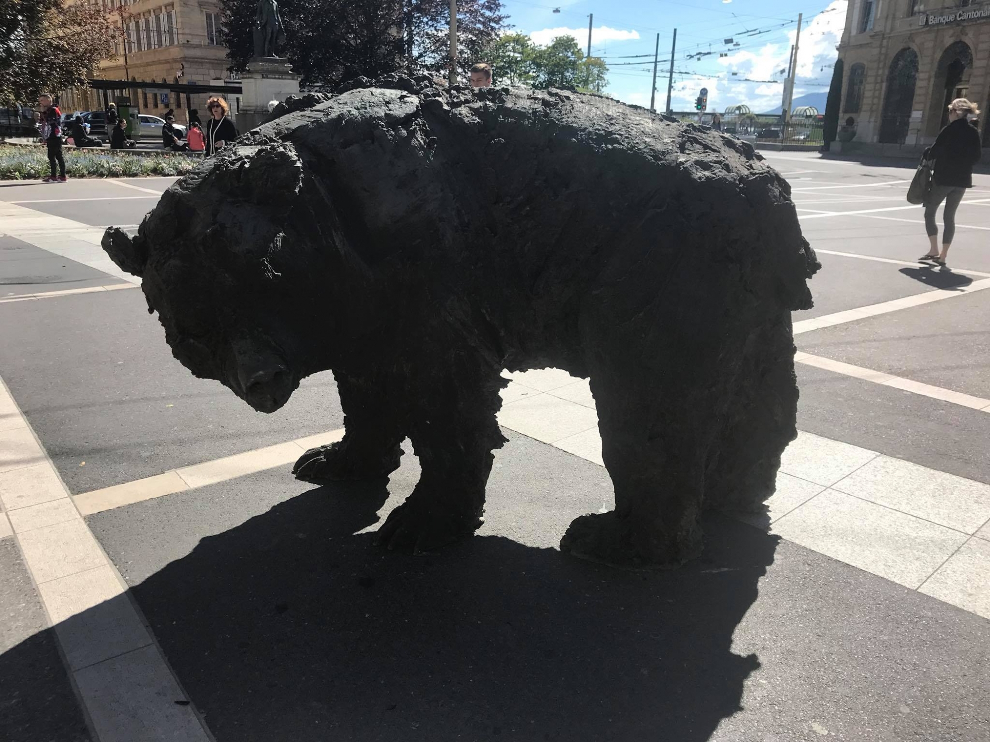 Un ours a trouvé sa place à la Place Pury