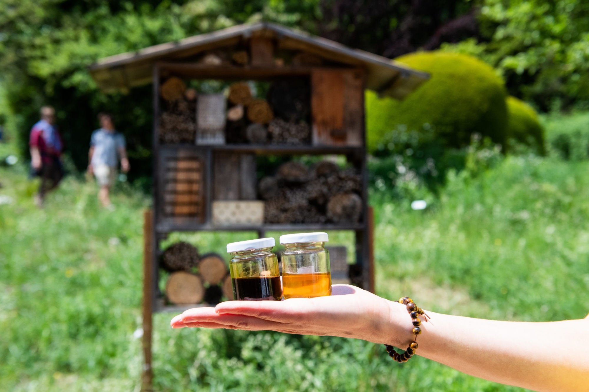 Journee mondiale des abeilles au jardin botanique.

Neuchatel, le 20 mai 2018.
Photo : Lucas Vuitel
