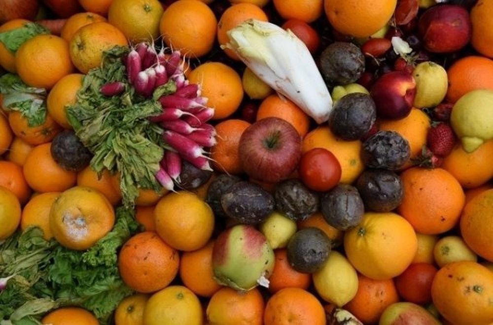 Parmi les possibles solutions à ce problème, l'étude propose d'apprendre aux consommateurs à mieux préparer et stocker les fruits et légumes frais.